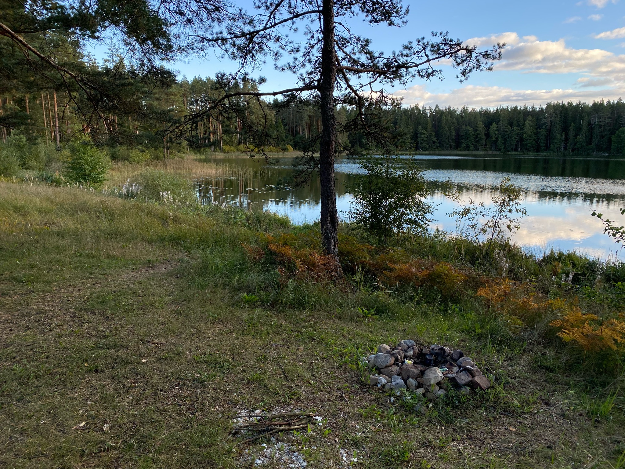 81472044-285B-4590-B01F-1FED0BC7FD20