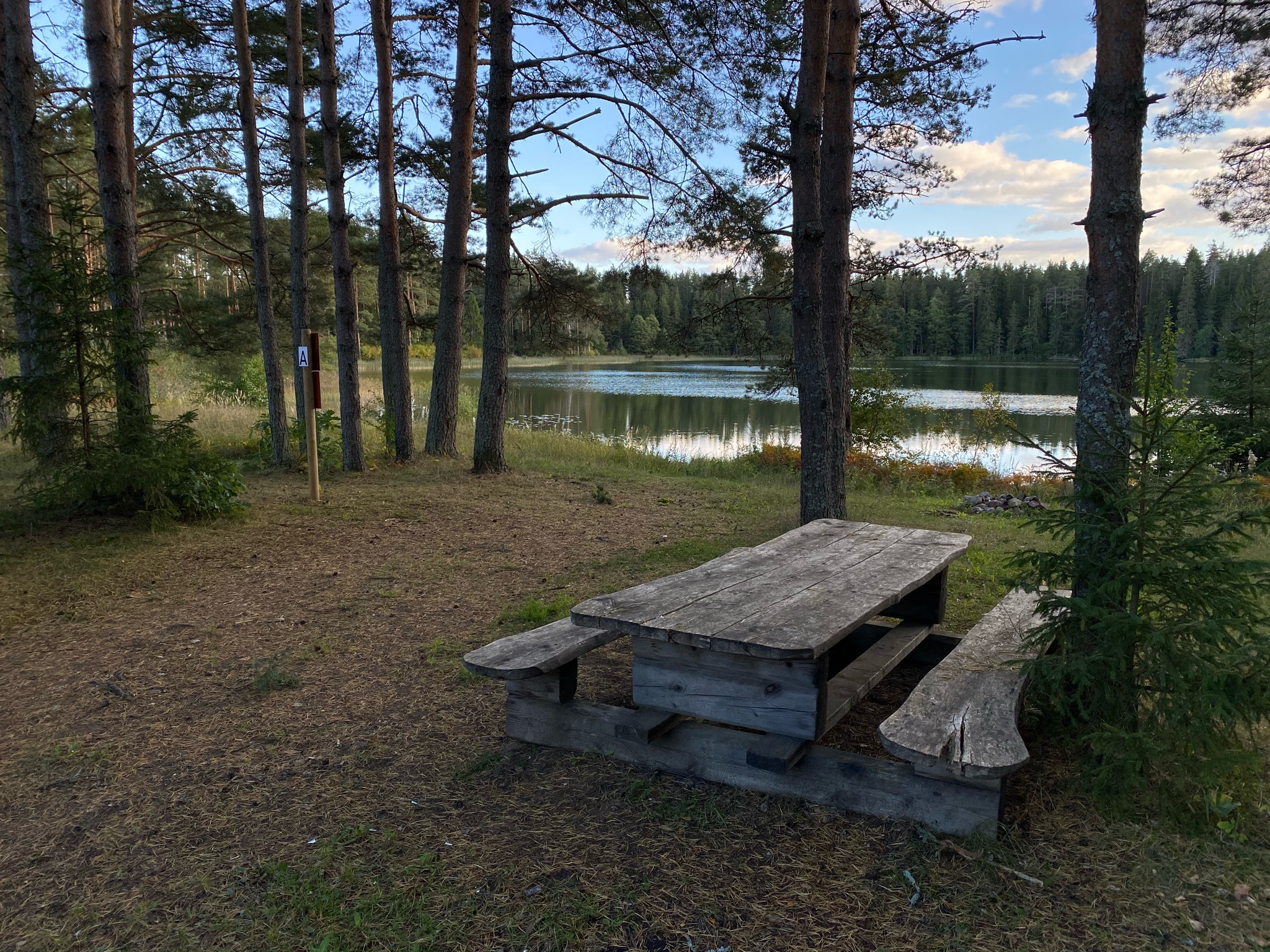 E40CBFF2-DF5B-420F-9532-621A775EF222