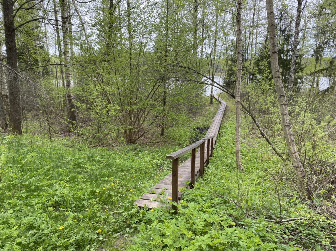 E86F4EDD-E84C-4103-941B-D80BA5F721E3