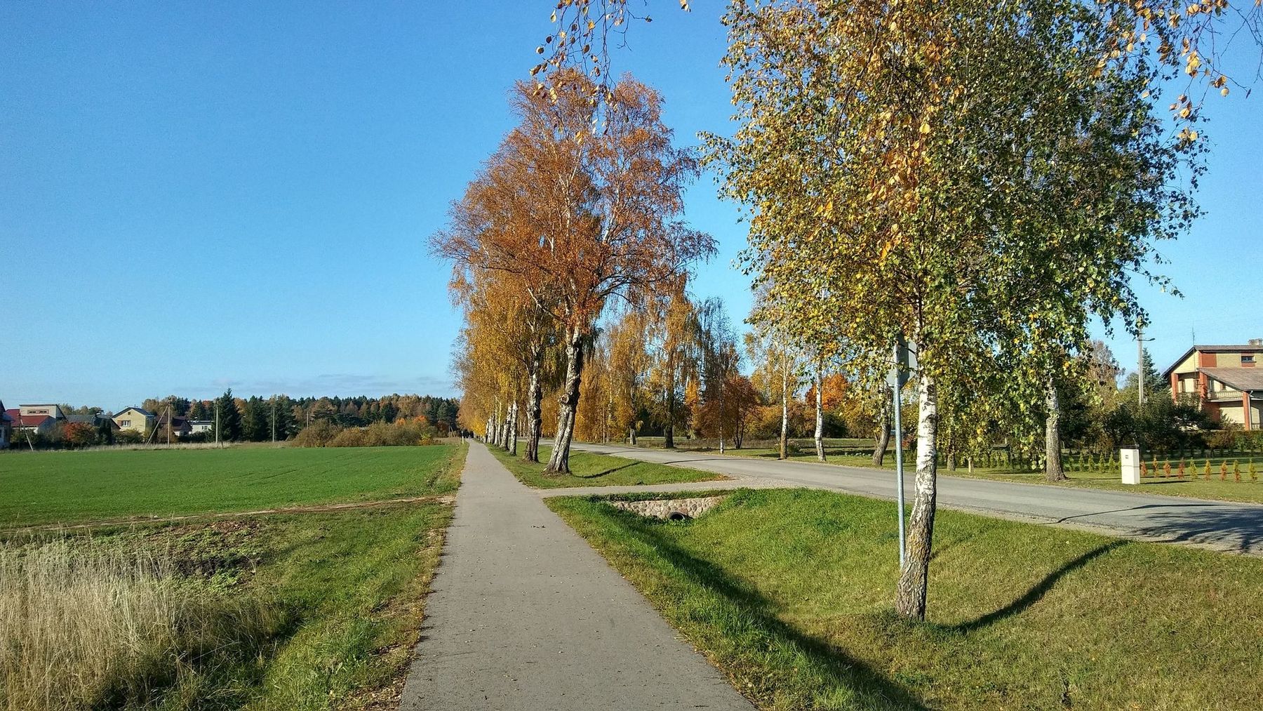 extra_large_9d18d44dbc3423fd8fdd15eb1e7c6734