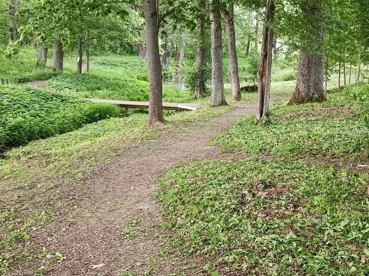 347243500_648043910477178_4590195145577441987_n