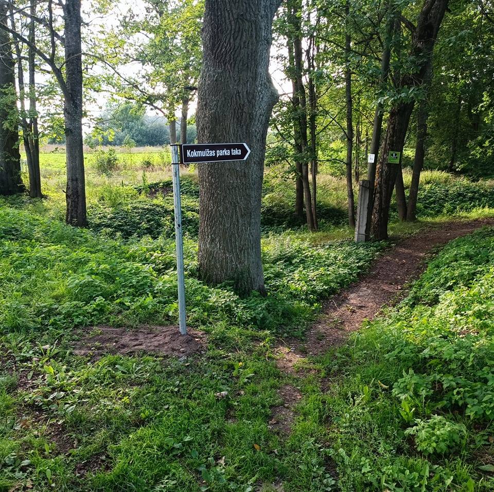 369213637_209840702066249_799864258048686128_n