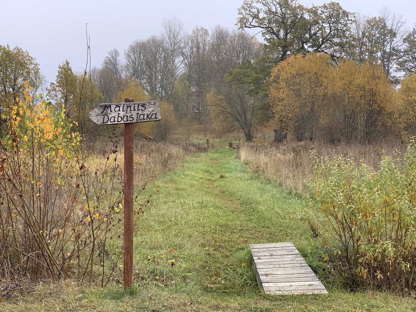 310F552A-9831-4A3B-83C8-73248FAC8EEE