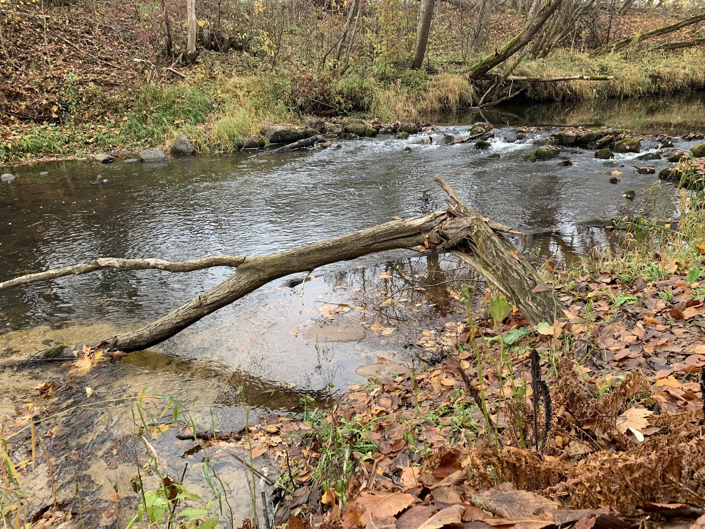 4458F0CD-DF52-4E46-88FF-703BDF4B0BCA