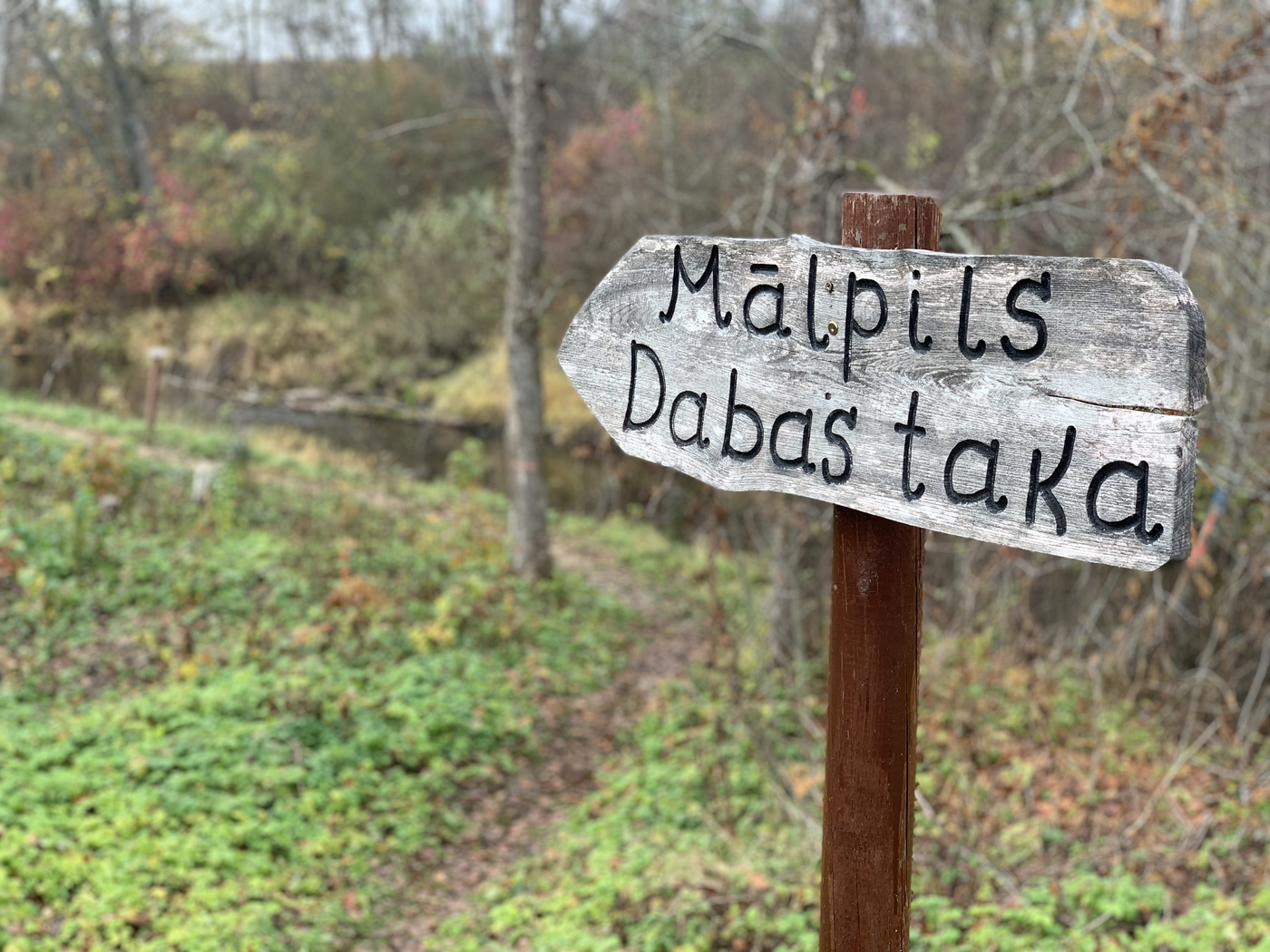 465F48C6-EF8C-4582-AB21-85075796A614