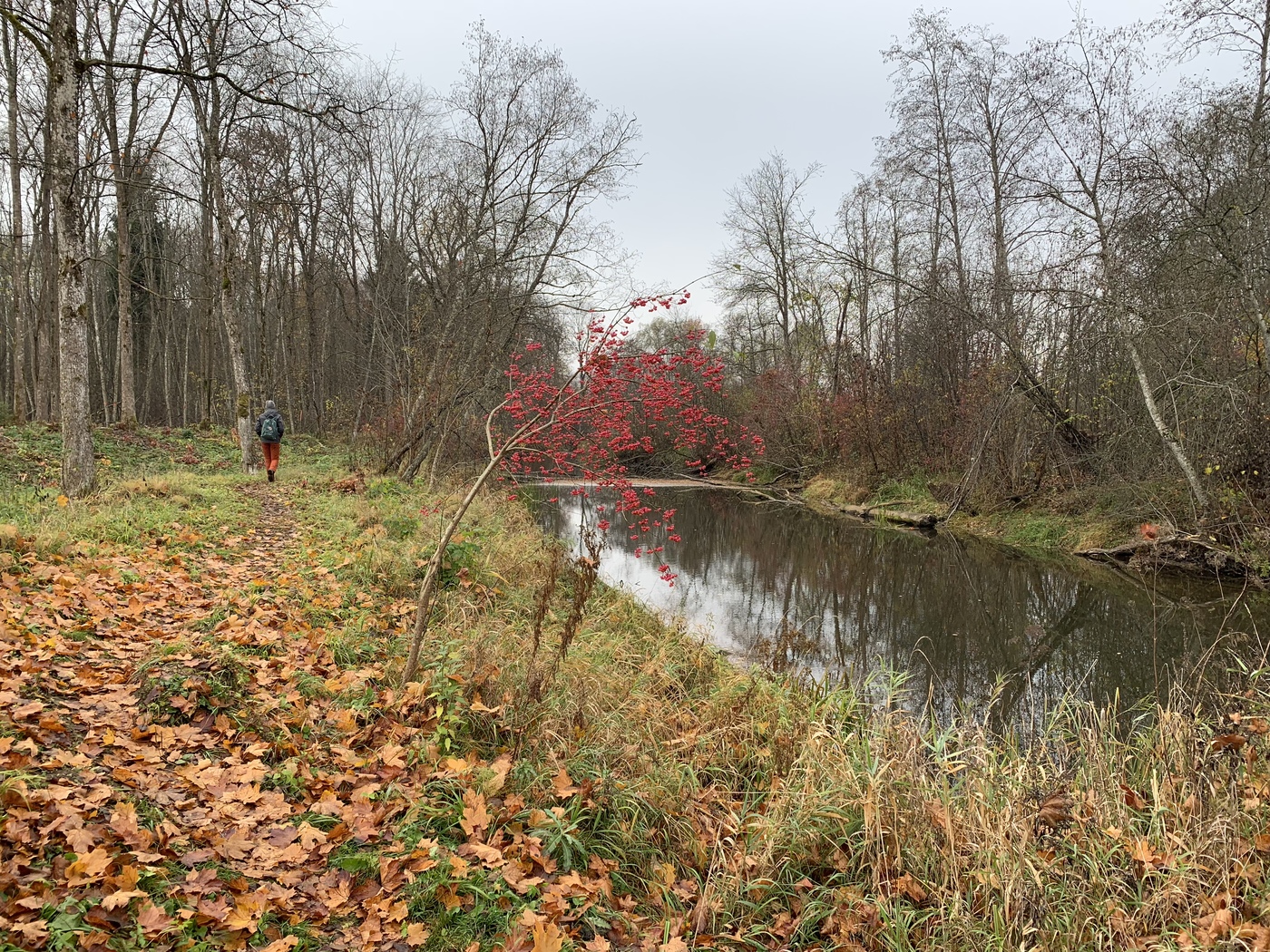 AFBDE6F7-6E13-47B8-9EA5-E18A28B877A6