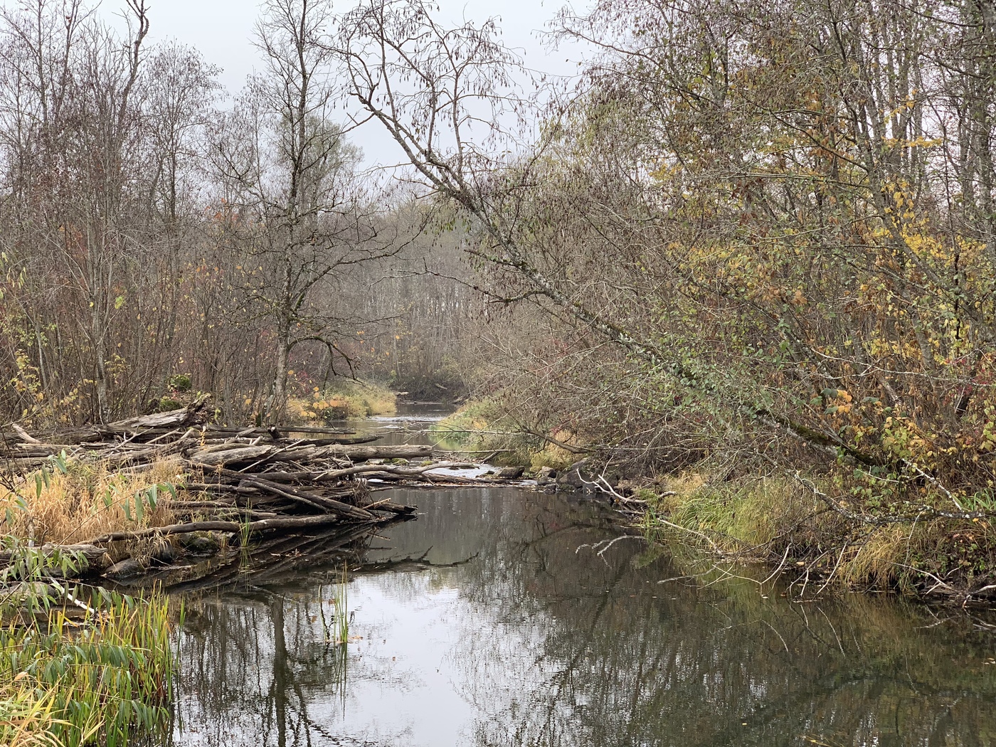 D9FDF059-B0F2-439D-B2E1-37315E814FCD