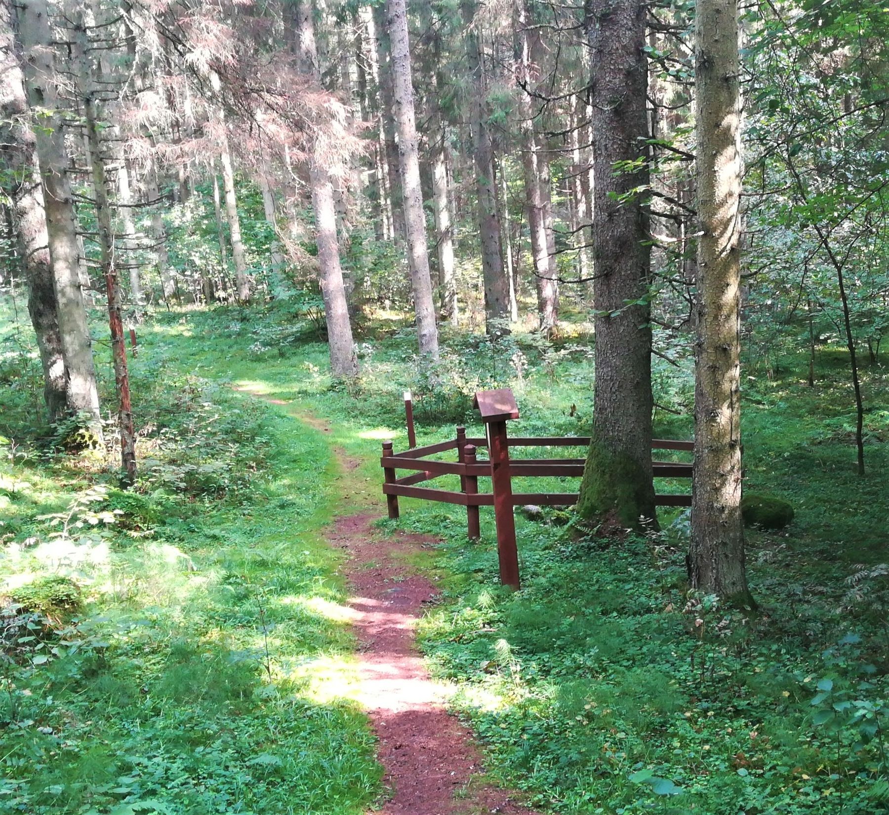 2_Mikytai_trail_R.Augustines_n_4_well_of_prayers