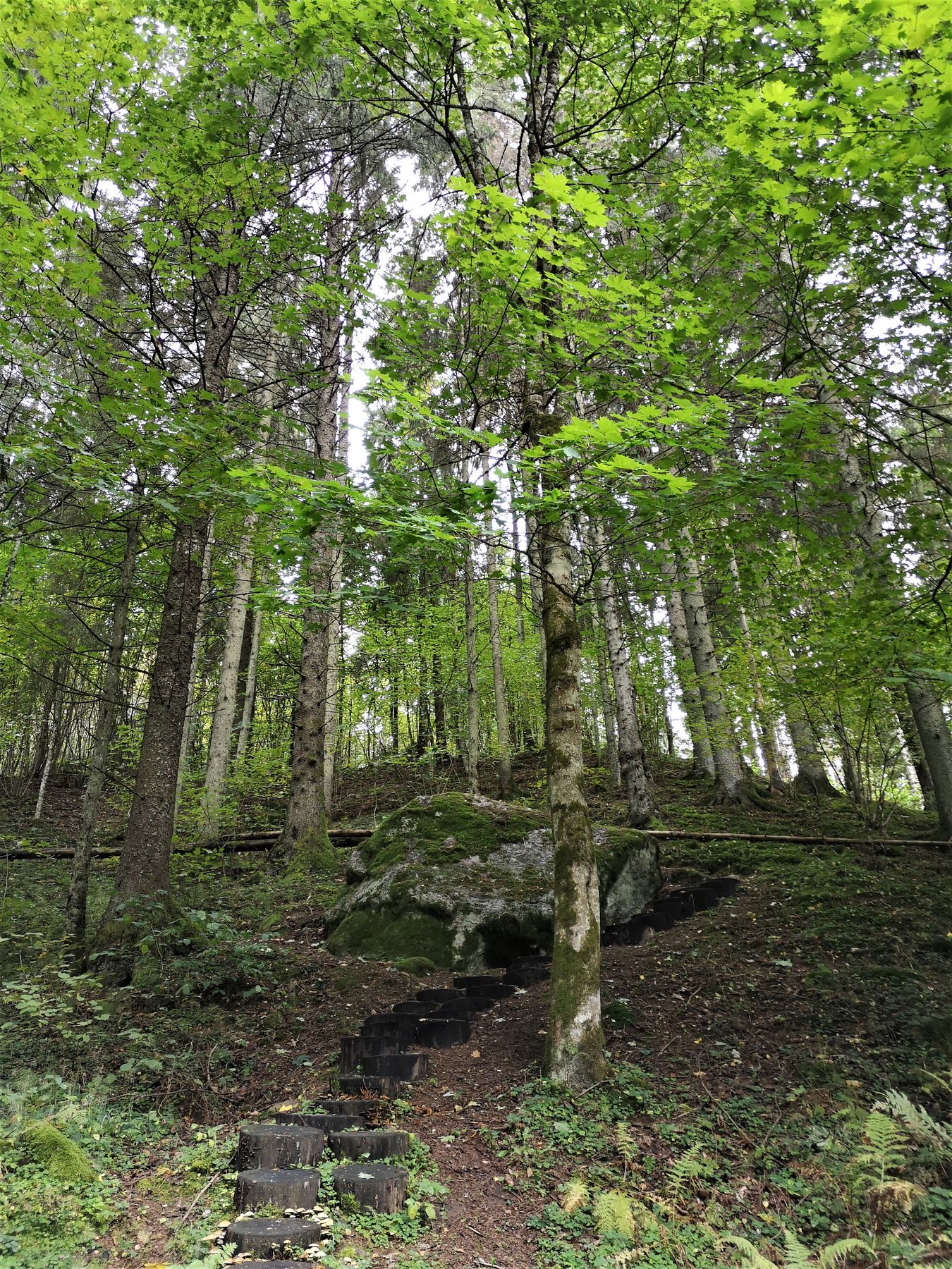 3_Mikytai_trail_Antanaviciute_R_stone_with_a_devil_s_footprint