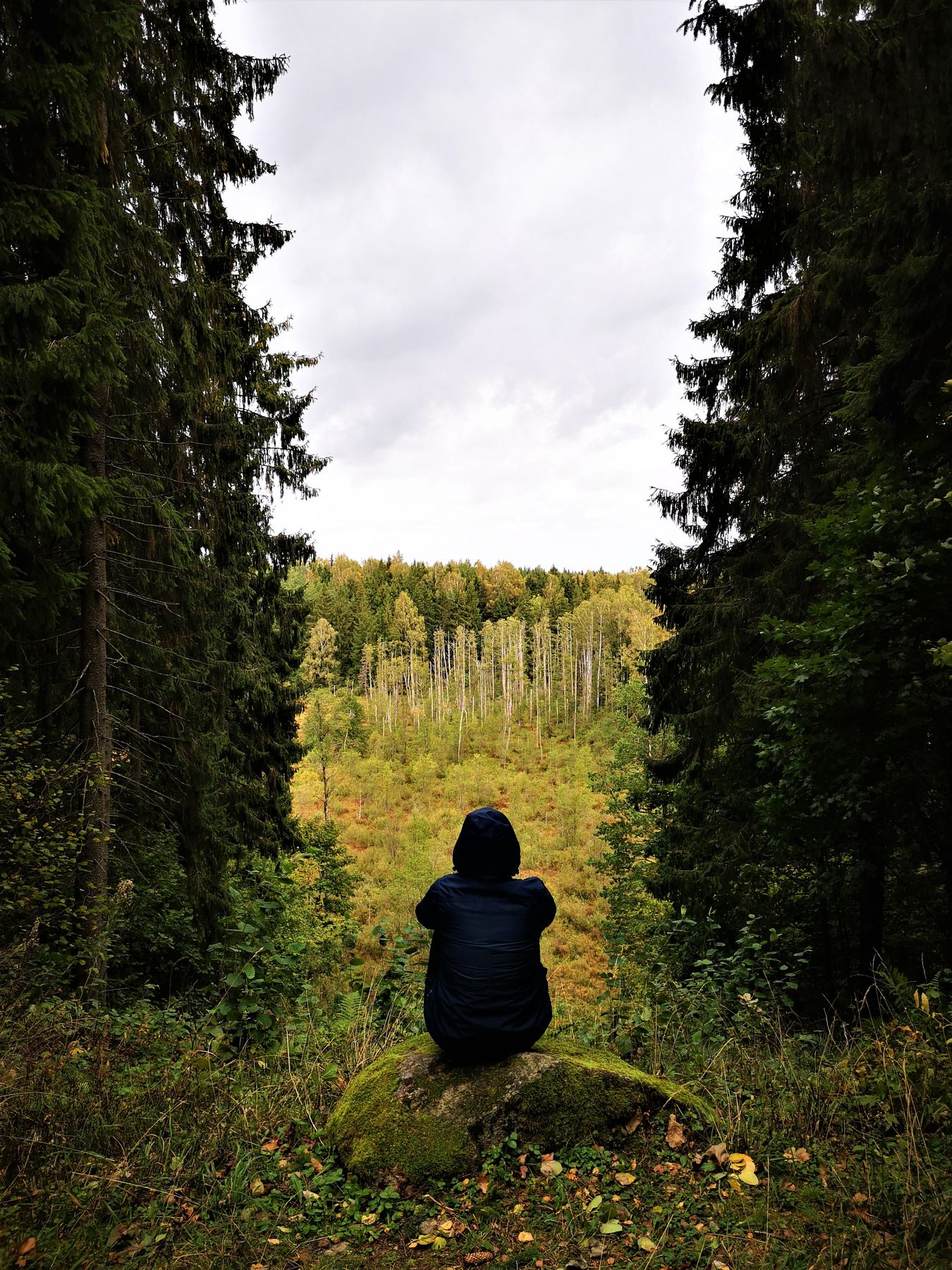 5_Mykitai_trail_Antanaviciute_panorama