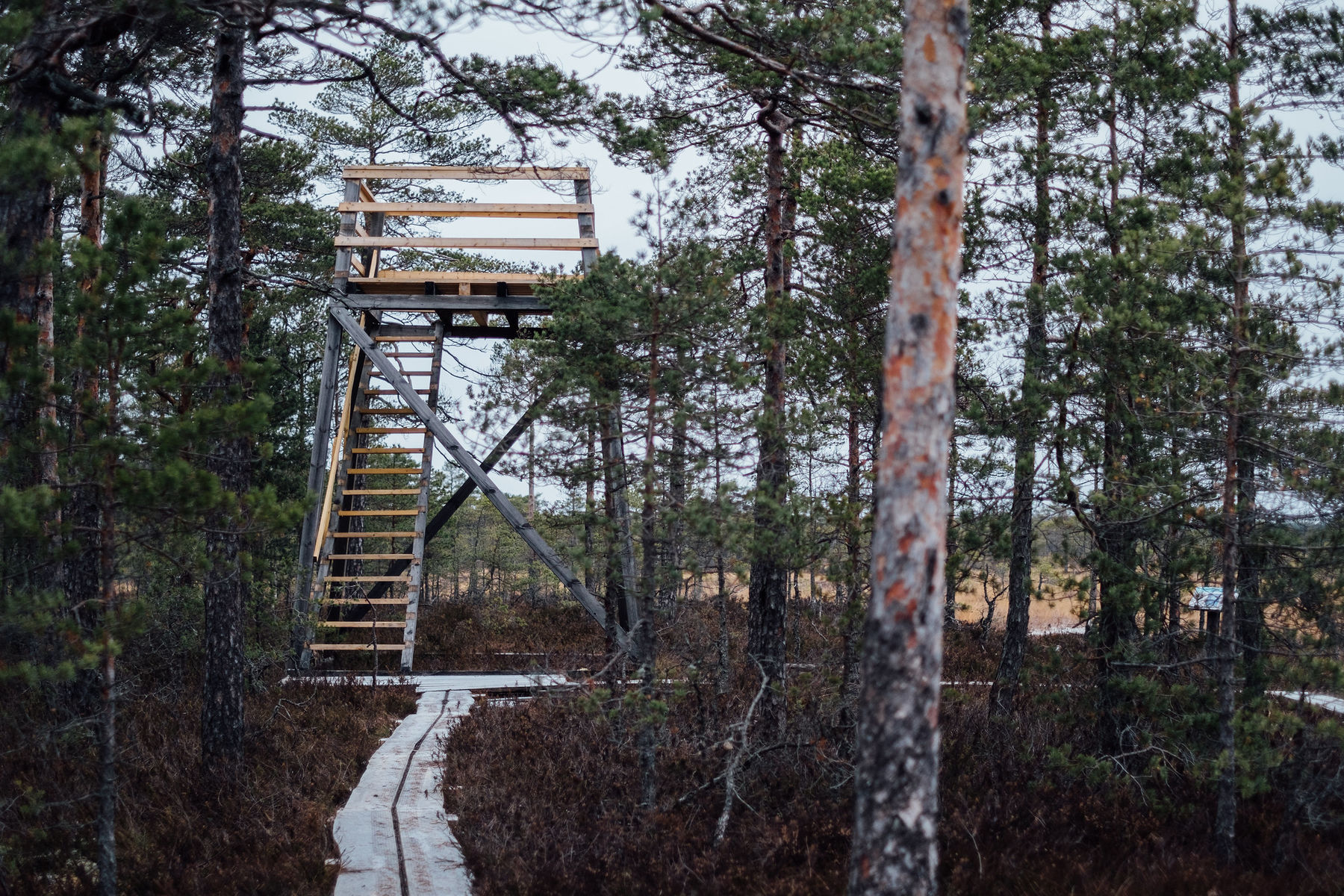 31392488190_7a545df989_k