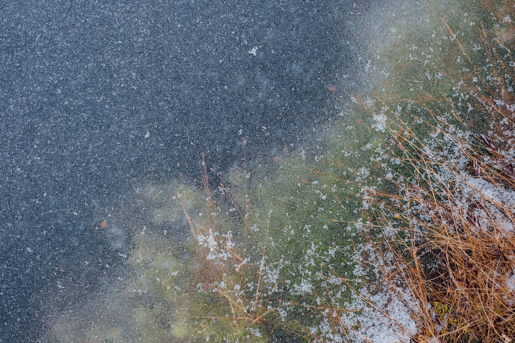 31648776841_6445a26b78_k