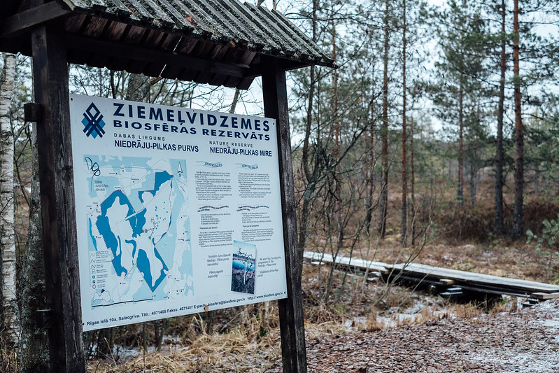 31648919821_fa0fea7714_c