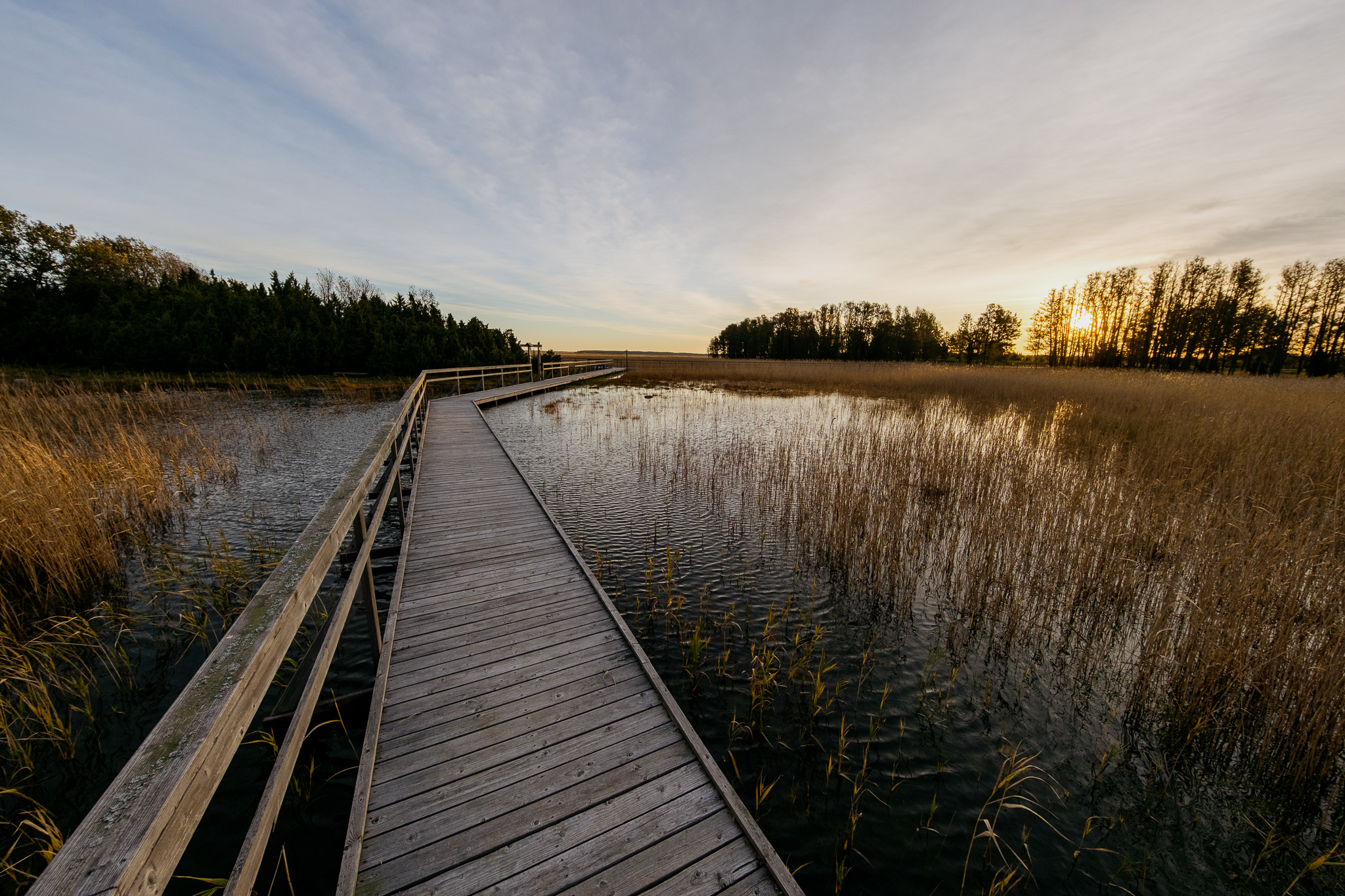 orjaku-trail-hiiumaa_53347872657_o