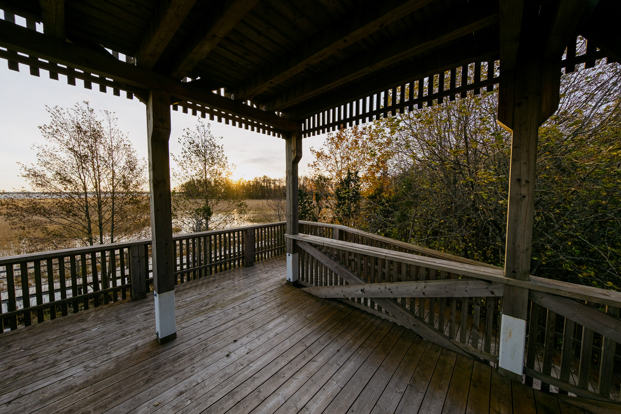 orjaku-trail-hiiumaa_53348744161_o