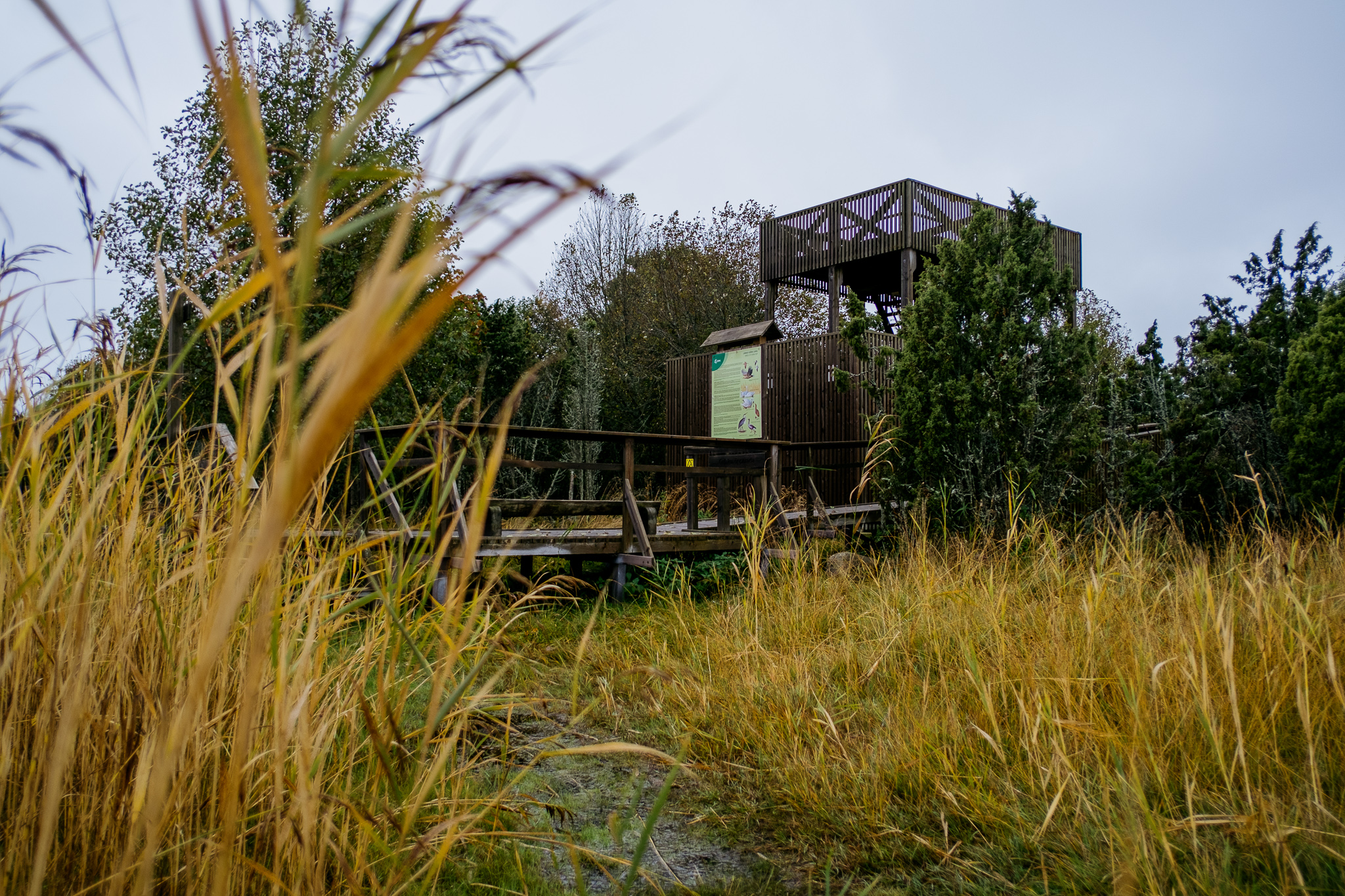 orjaku-trail-hiiumaa_53349195050_o