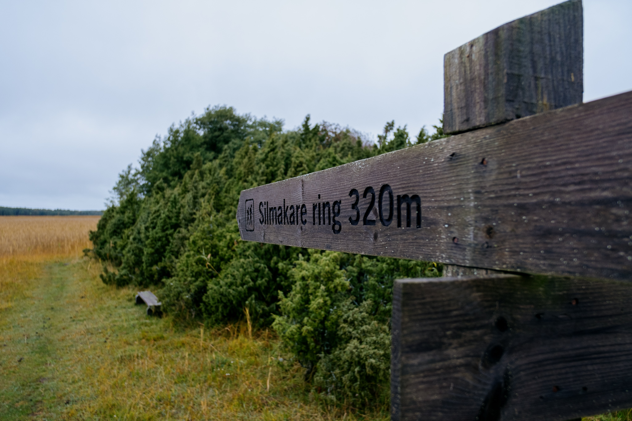 orjaku-trail-hiiumaa_53349195125_o