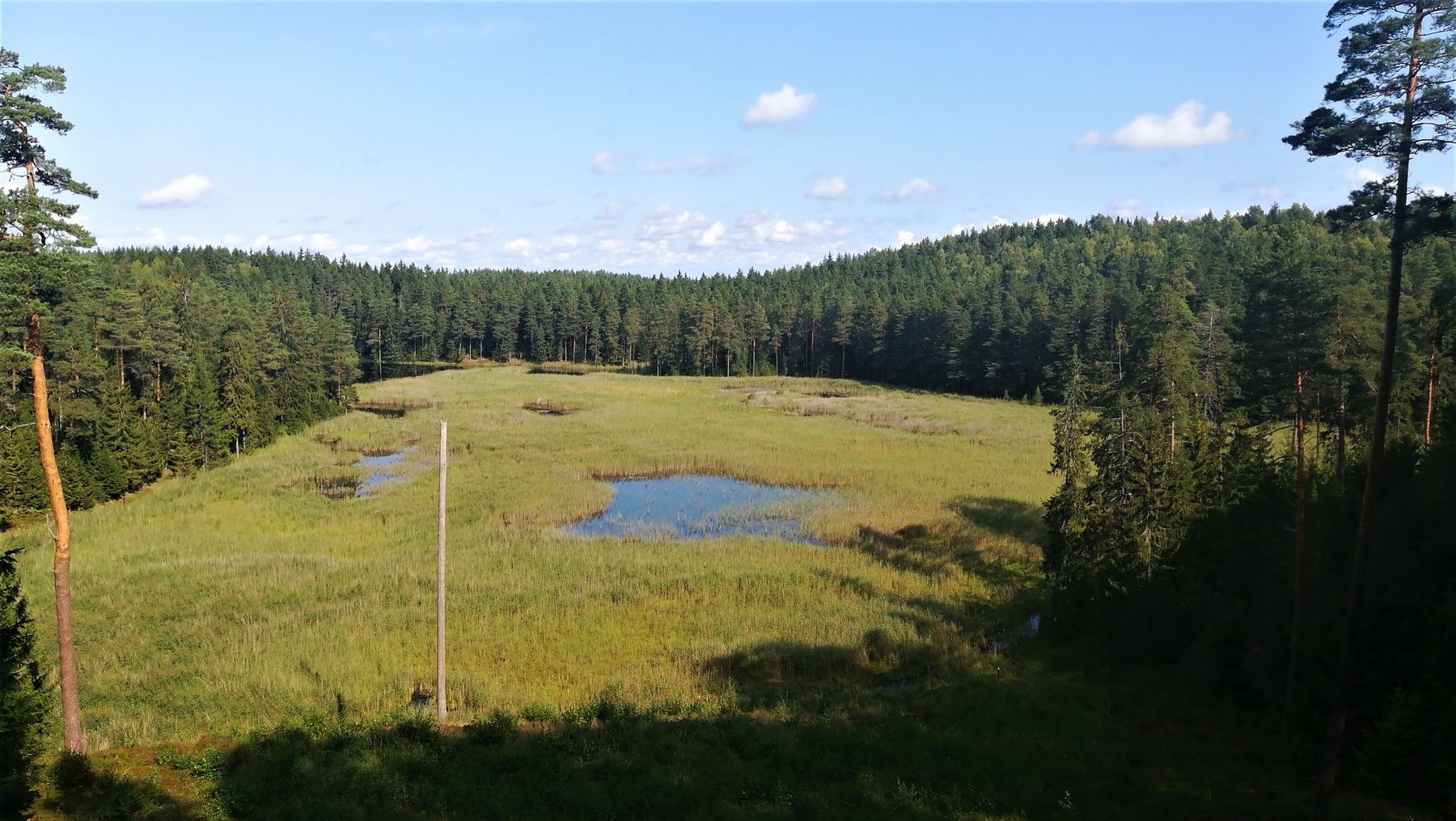 4_Paplatele_trail_R.Augustines_n_8__sultekis