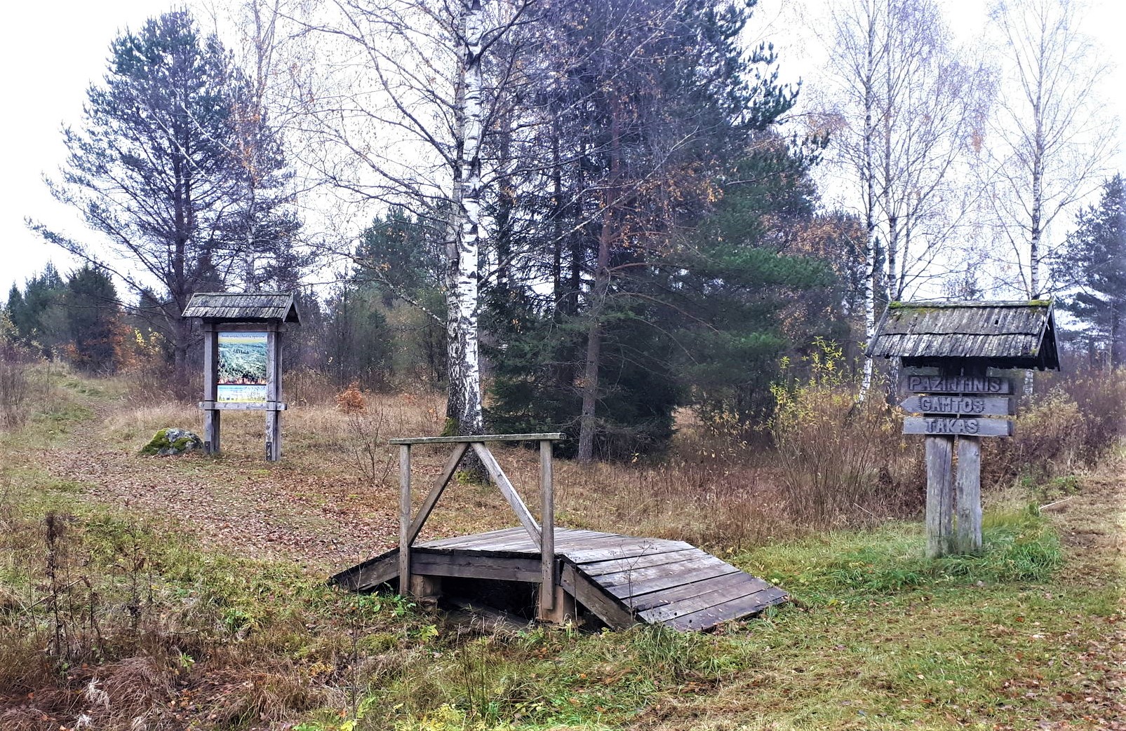 _aukliai_the_beginning_of_the_trail