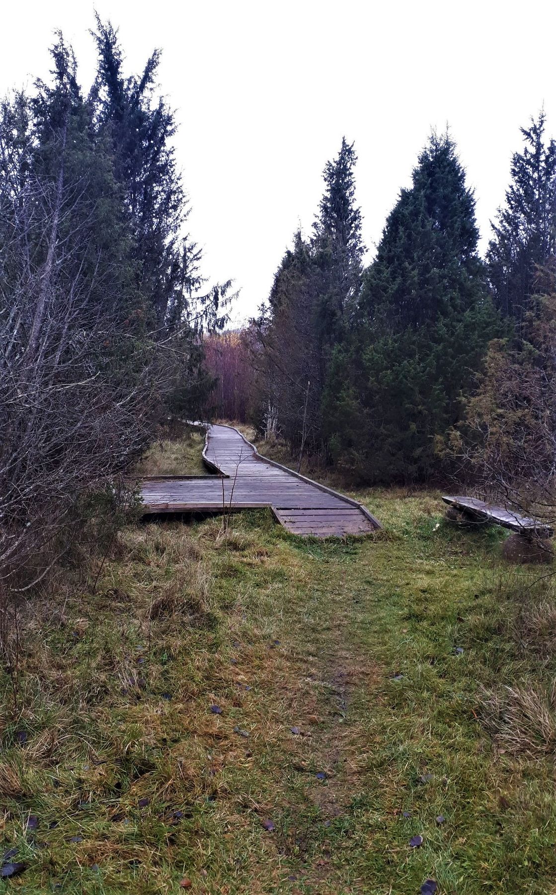 _aukliai_The_beginning_of_wooden_path