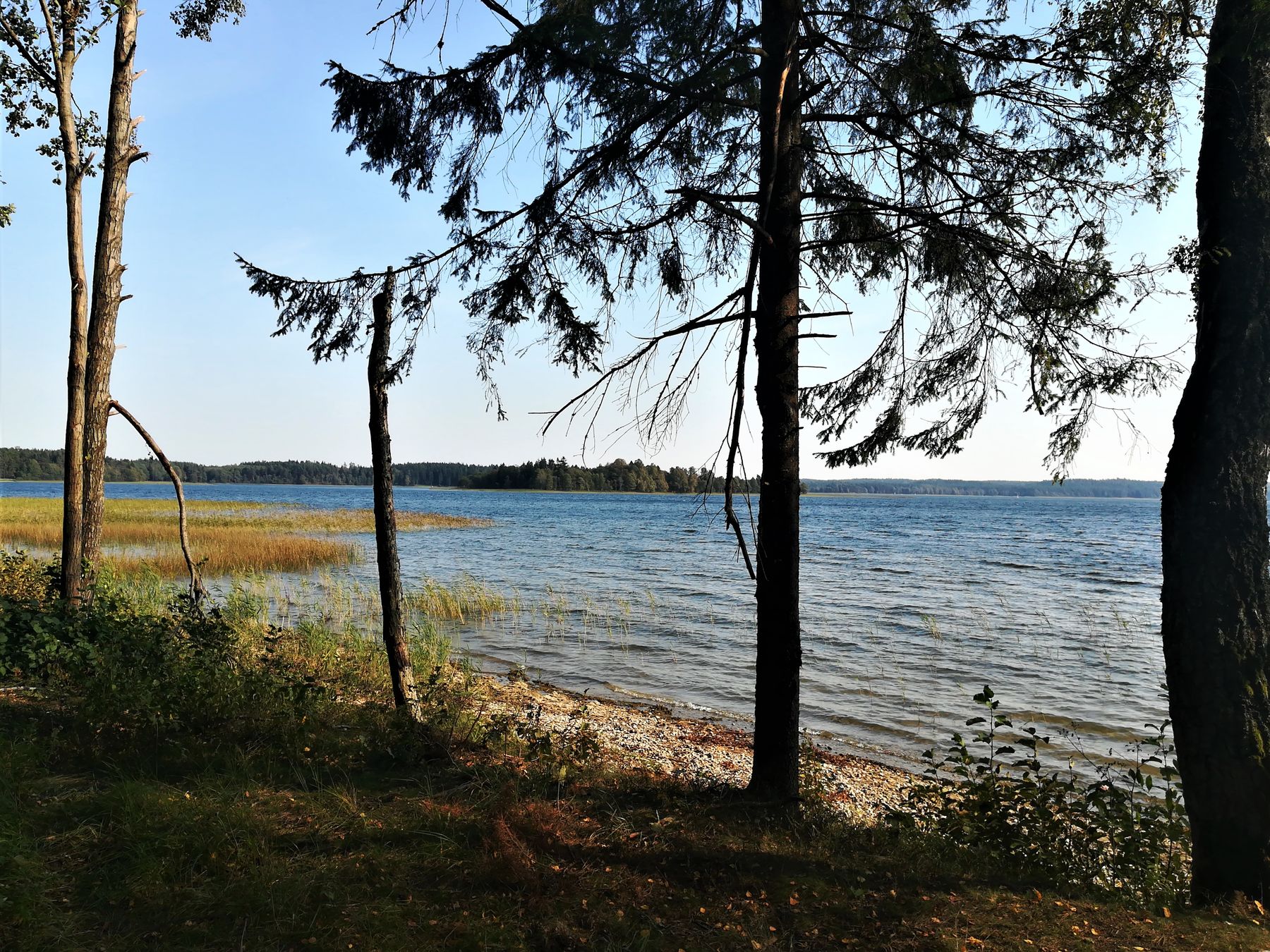 6_Seire_trail_R.Augustines_n_5_