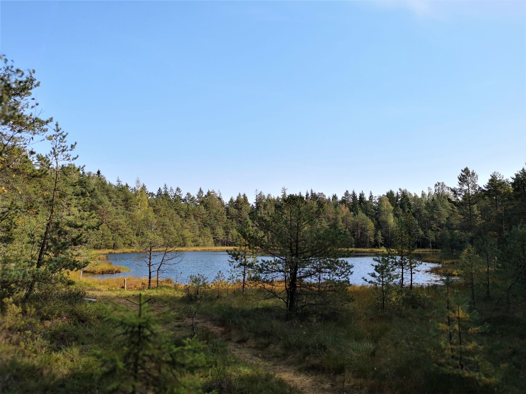 7_Seire_trail_antanaviciute_piktezeris