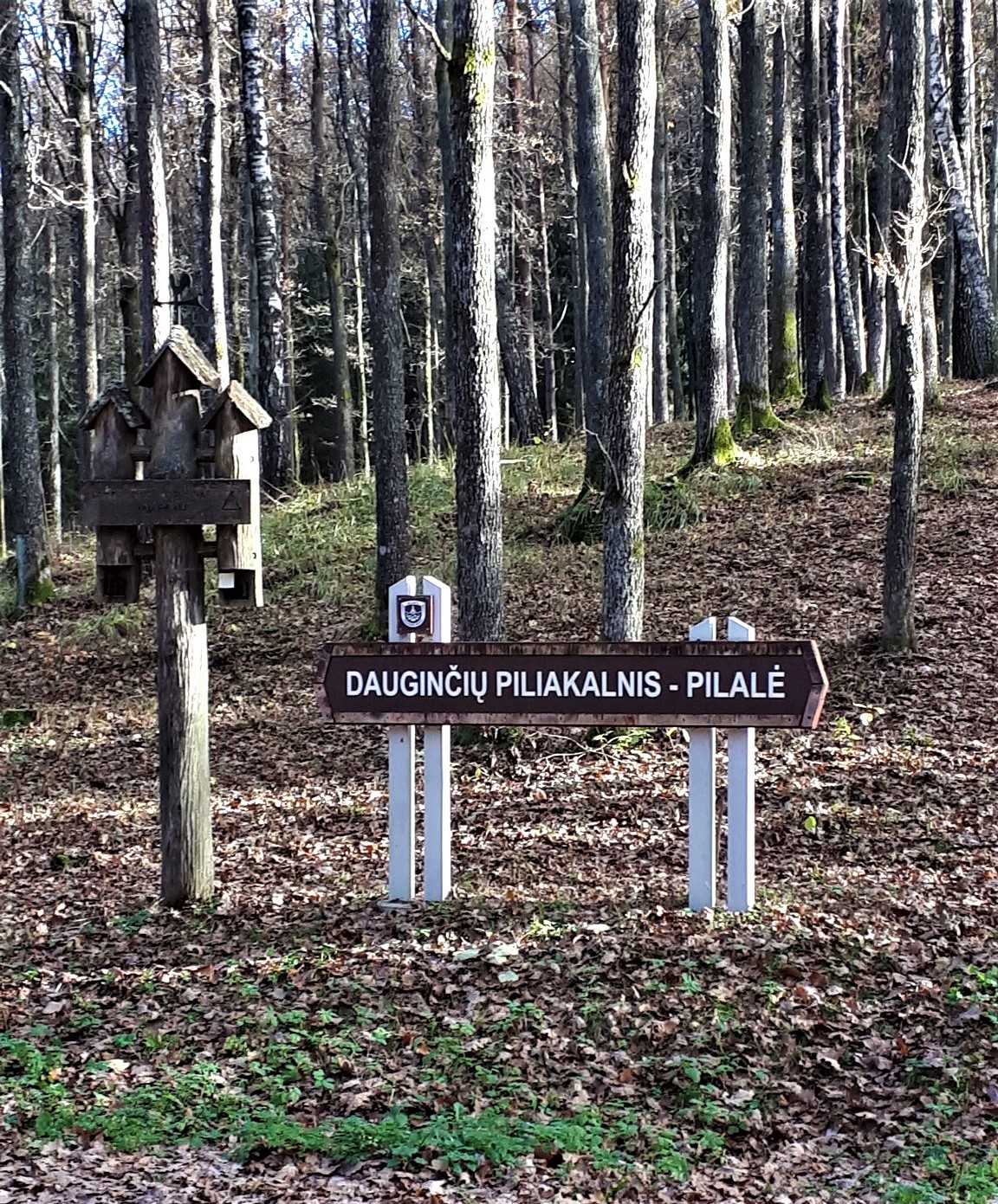 _ilpelke_Dauginciai_hillfort