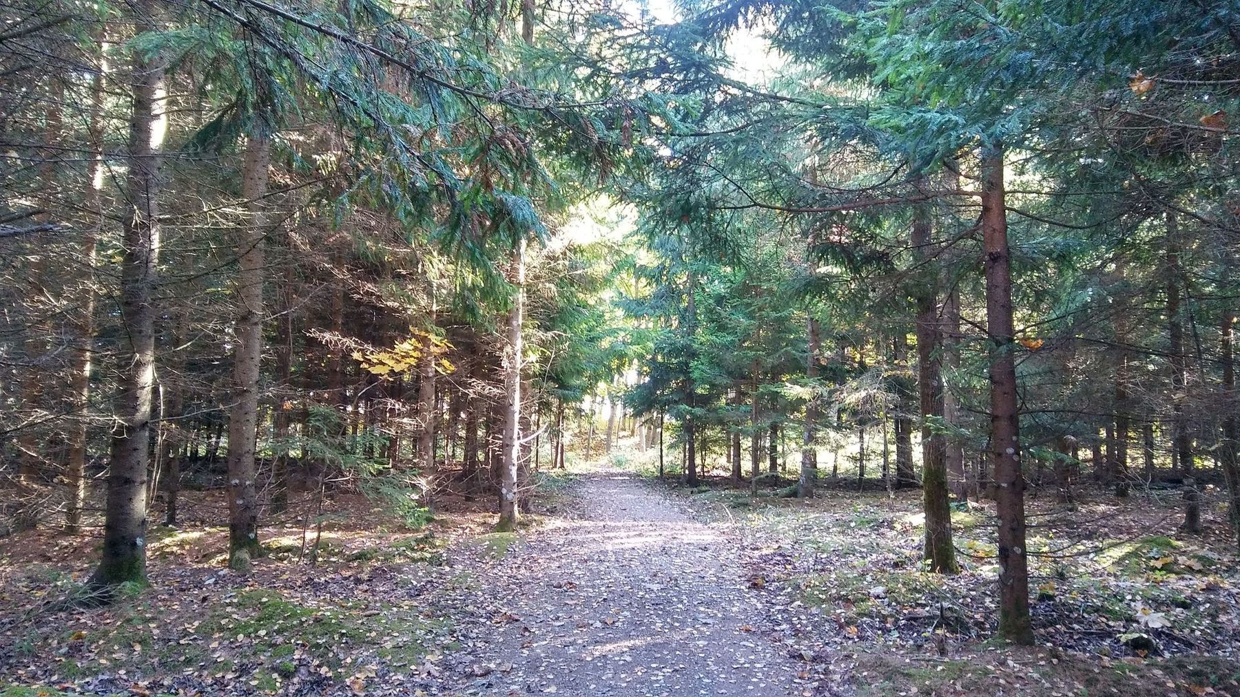 extra_large_a7141c5481c600b6231f88f32c498dfe