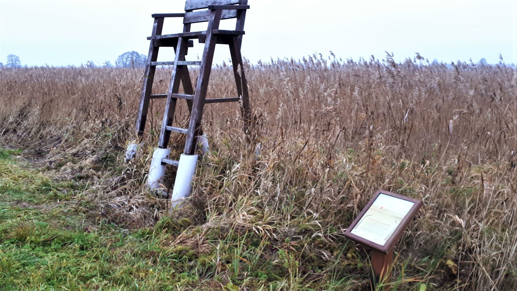 Tulkiarage_viewpoint-bench