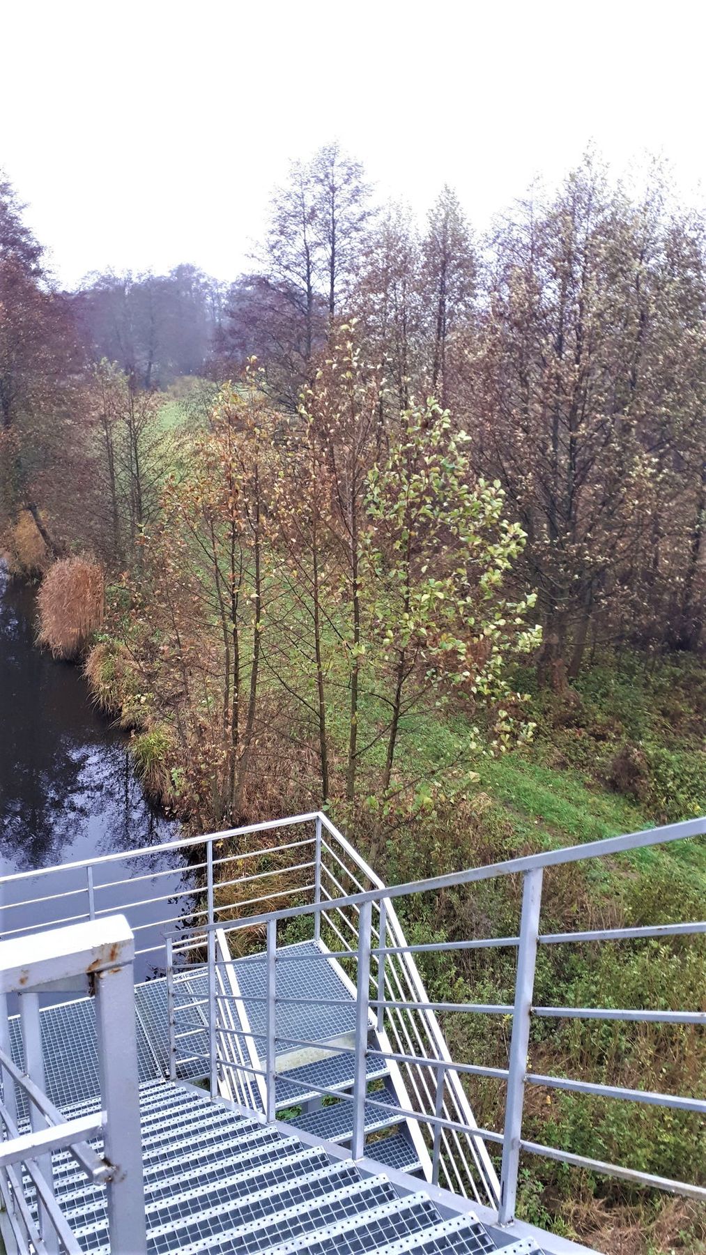 Tulkiarage_viewpoint