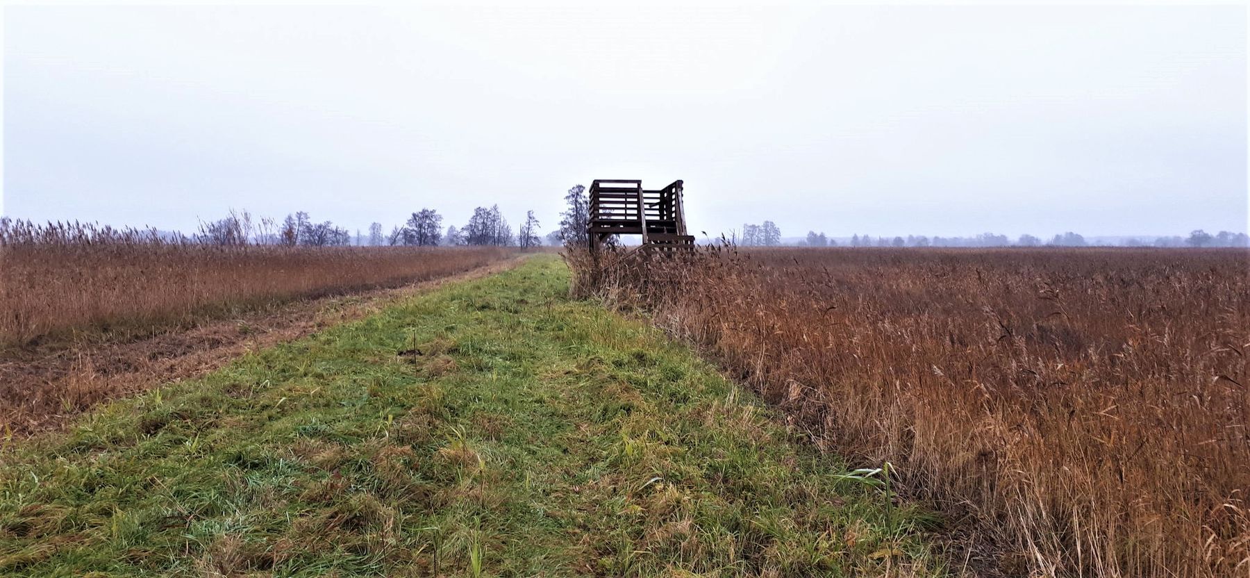 Tulkiarage_viewpoint_3