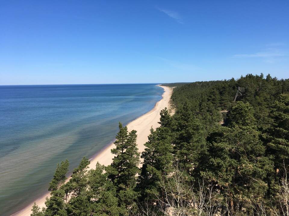 32247255_1616578631794046_1767100024048582656_n