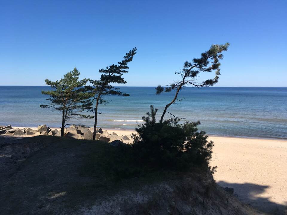 32253655_1616578285127414_4703497940881113088_n