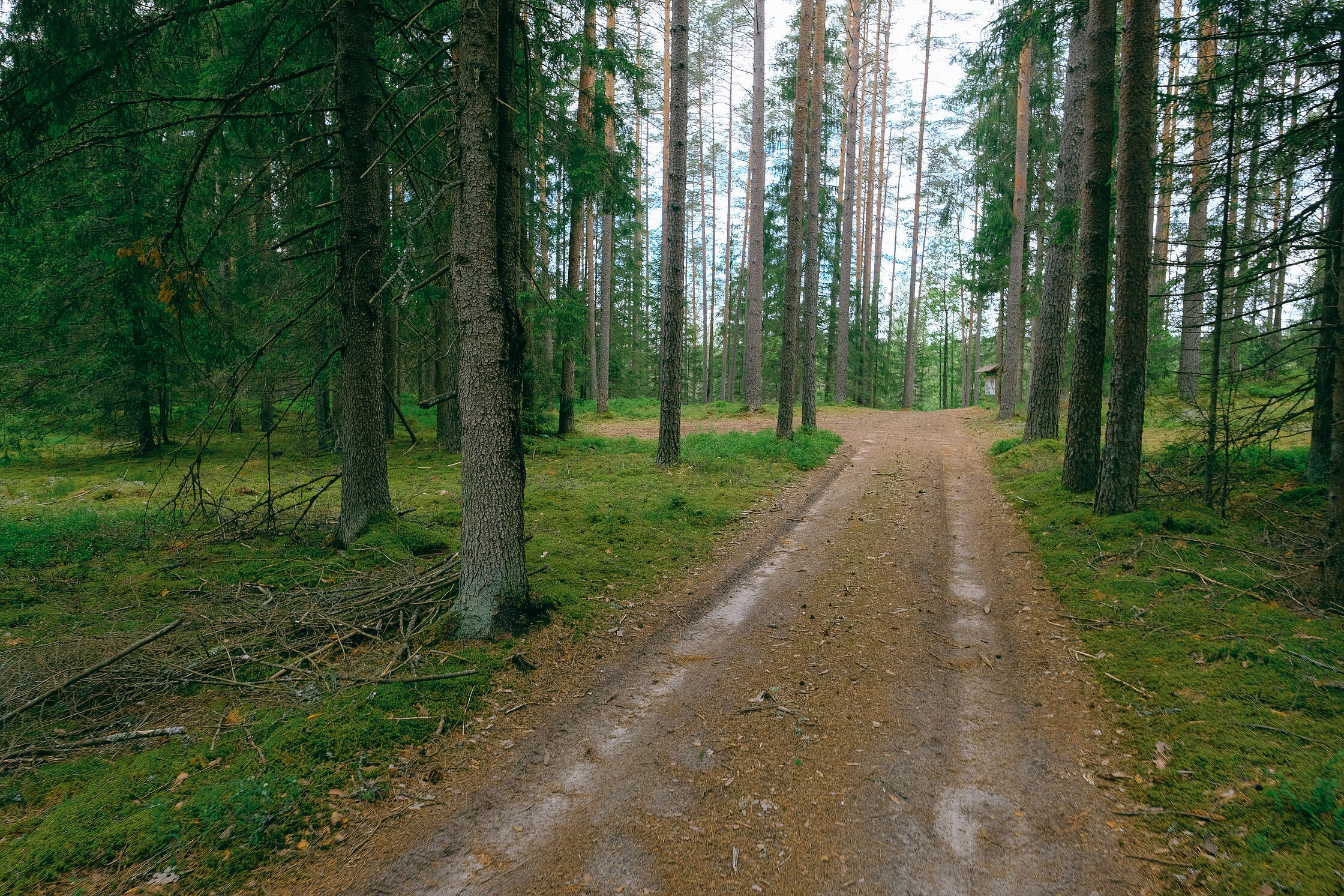 rvesetas-purva-laipa-2020_50270147946_o