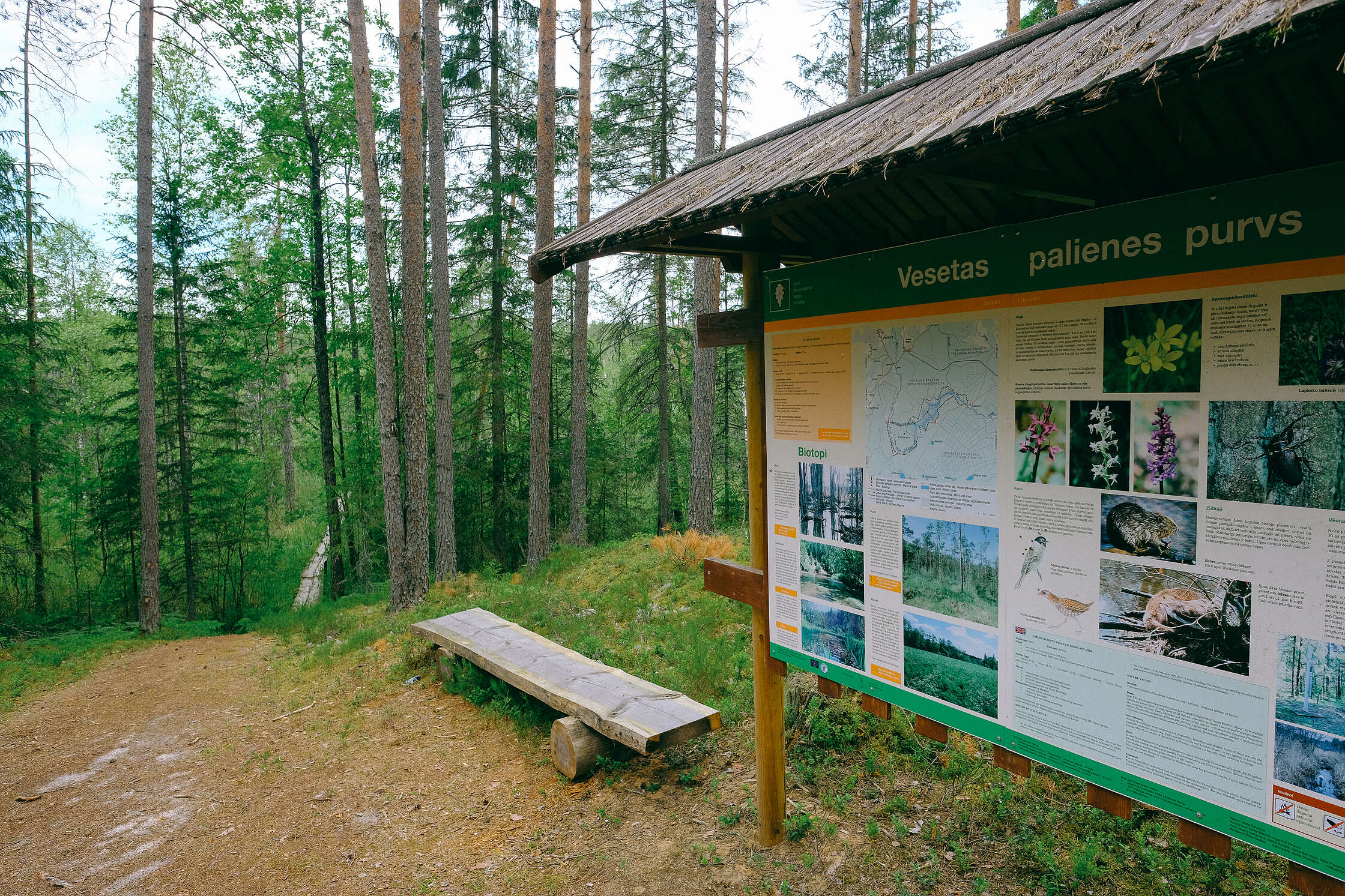 rvesetas-purva-laipa-2020_50270148456_o