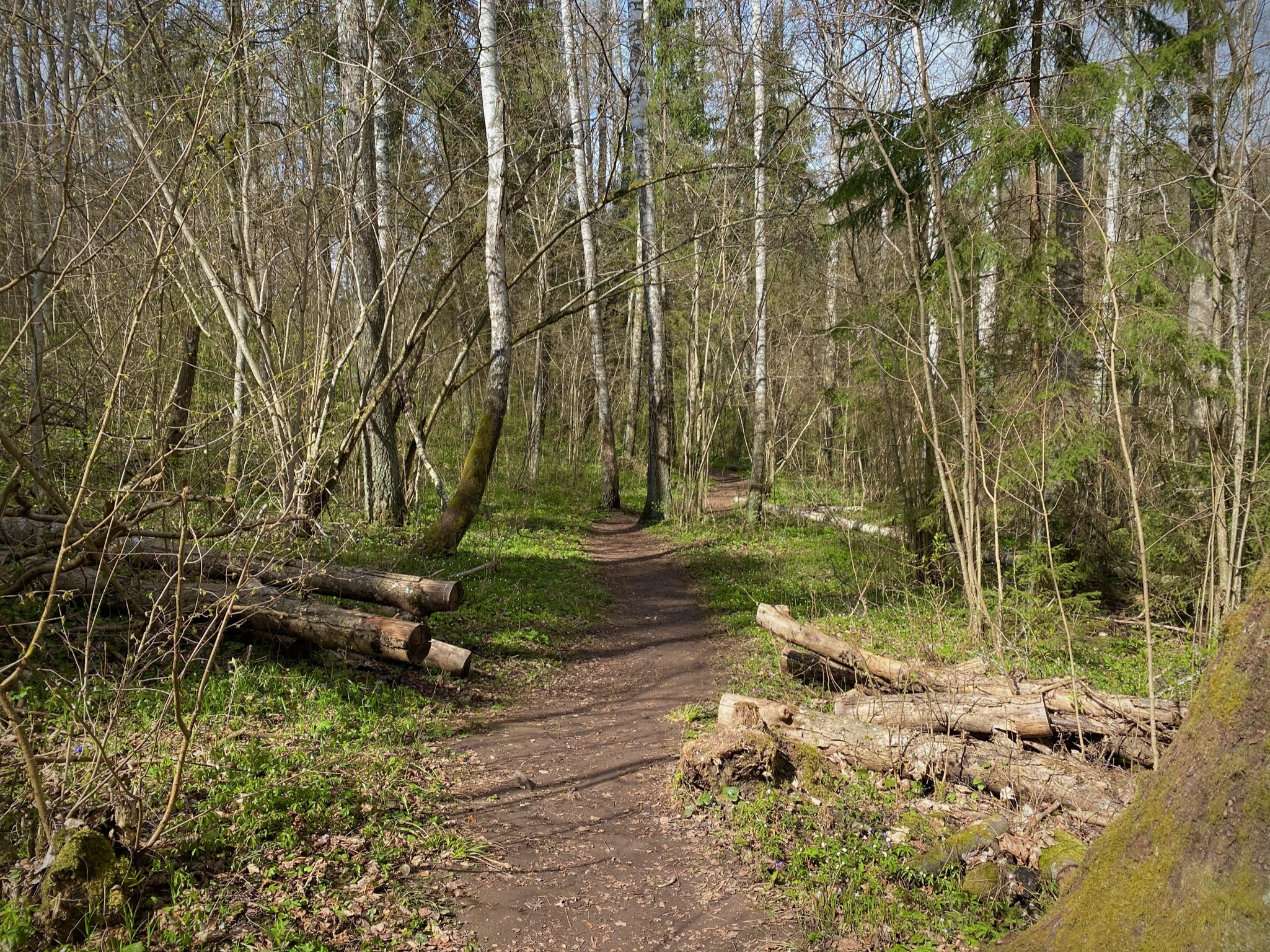 19AB2C42-F6D7-4A21-ABC2-03F9D112594D