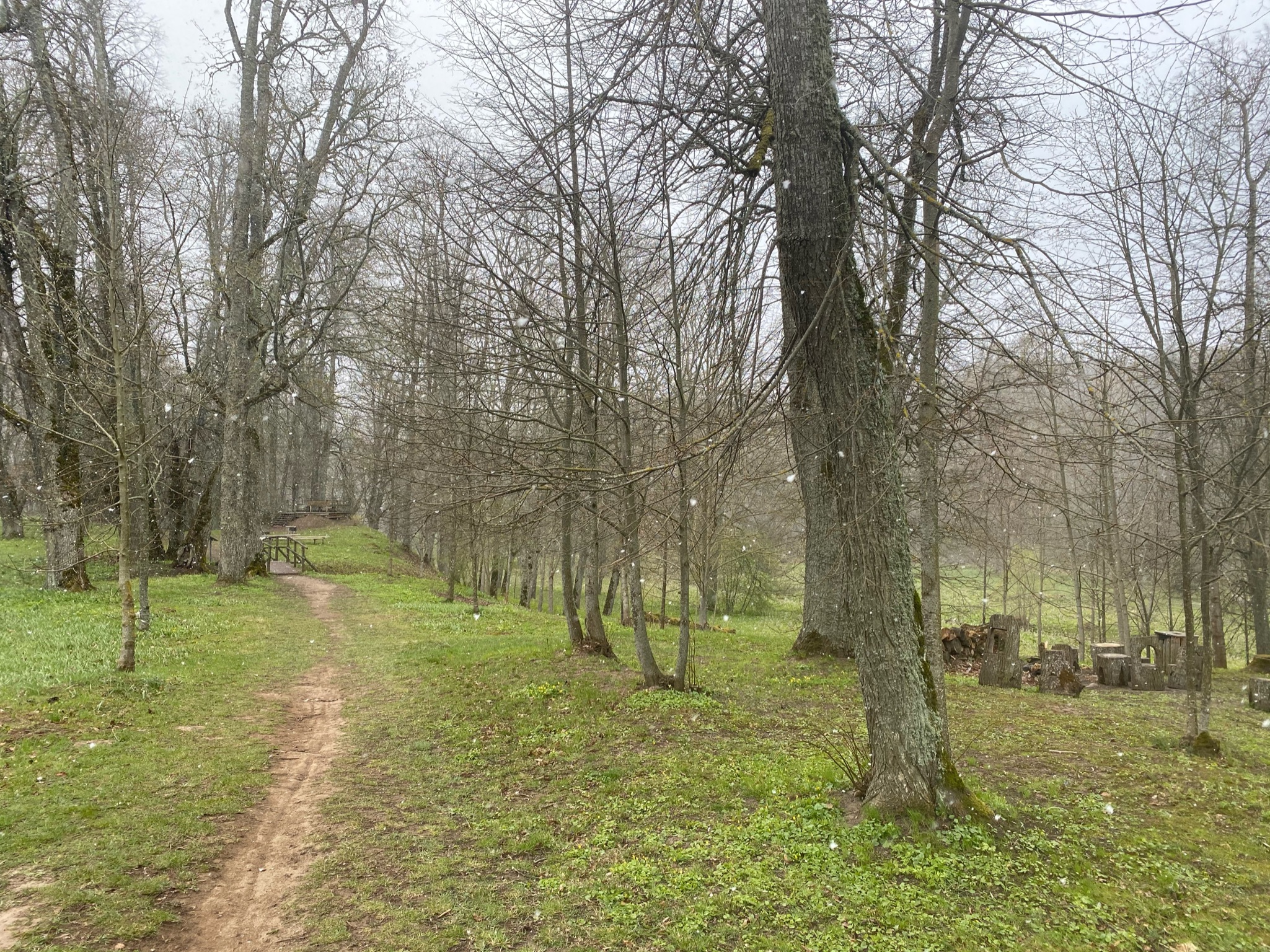 8F352F75-1A93-4C59-BDAB-9D9EEB35617B